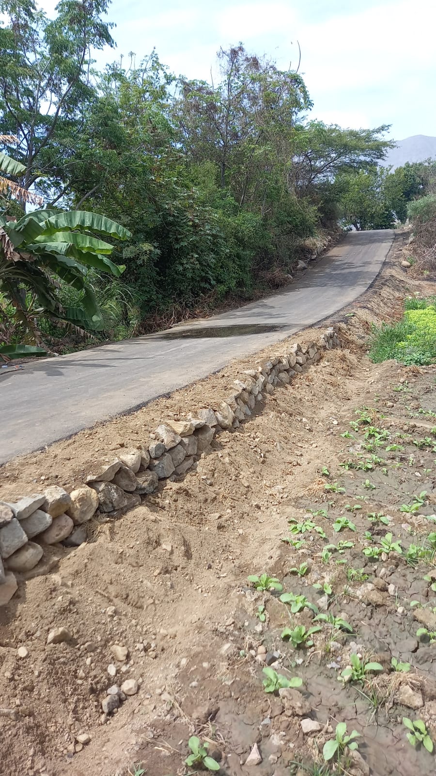 obra soltelec Simbal